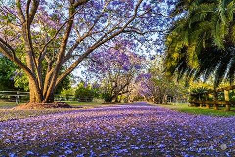 Photo: Toogoolawah Skate Park